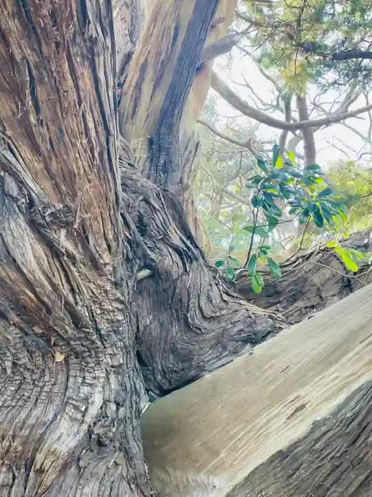 大瀬神社(静岡県)