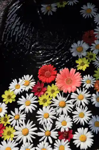 大鏑神社の手水舎