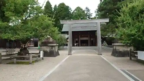 射水神社の鳥居