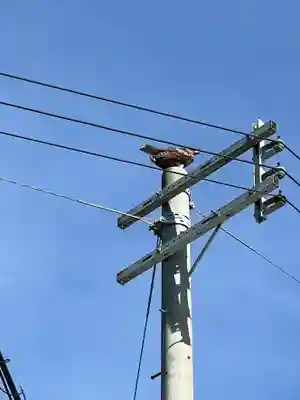 上田八幡神社(兵庫県)