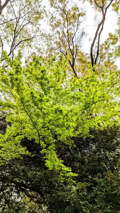 検見川神社の自然