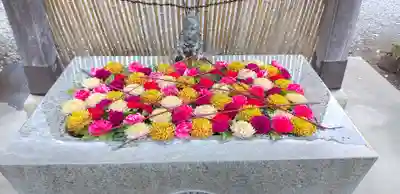 長良神社の手水舎