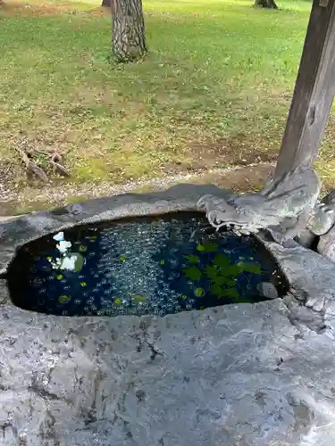 十勝護国神社の手水舎