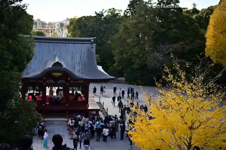 鶴岡八幡宮の神楽