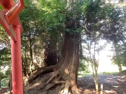 美濃國一宮　南宮大社(岐阜県)