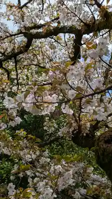 平野神社(京都府)