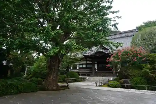 高円寺の本殿・本堂