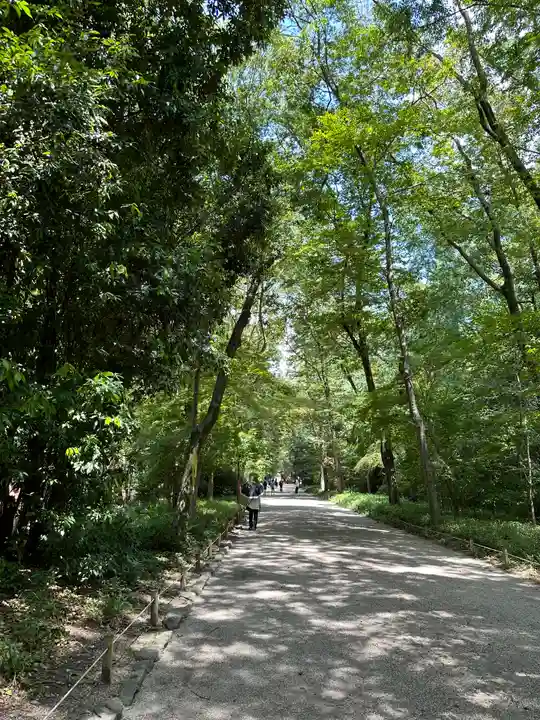 賀茂御祖神社(下鴨神社)(京都府)