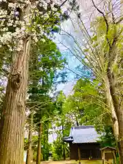 岡見八坂神社(茨城県)