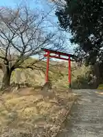 八大龍王弁財天大神(奈良県)