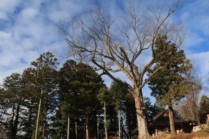 阿久津「田村神社」(郡山市阿久津町)旧社名:伊豆箱根三嶋三社の景色