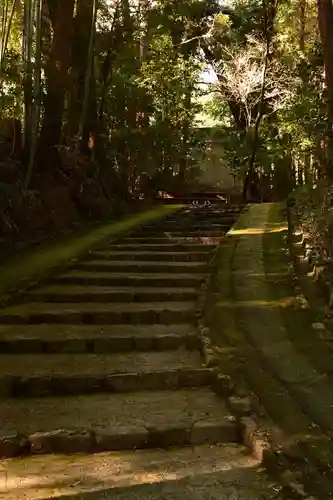 正伝護国禅寺(正伝寺･正傳寺)(京都府)