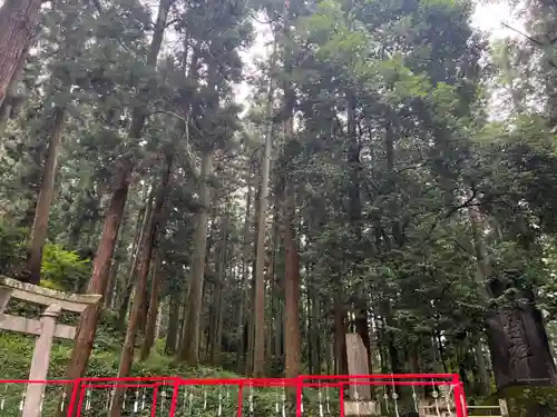 大宮温泉神社(栃木県)