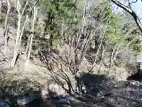 大峯不動尊の自然