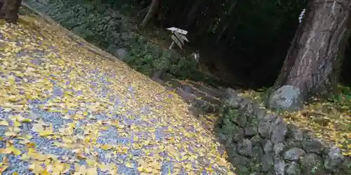 出雲大神宮の景色