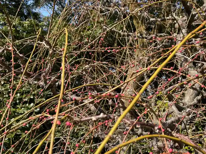 結城神社(三重県)