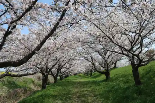 千代保稲荷神社(岐阜県)