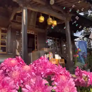 高司神社〜むすびの神の鎮まる社〜(福島県)(2025年11月24日(月) 14時55分56秒投稿)