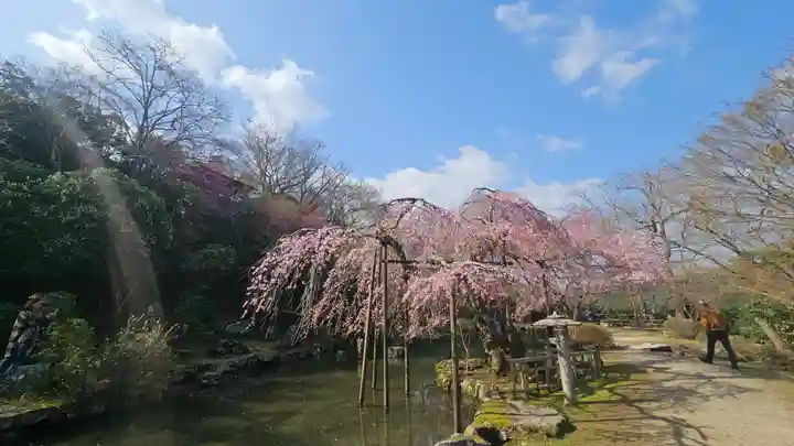 竹林院の庭園