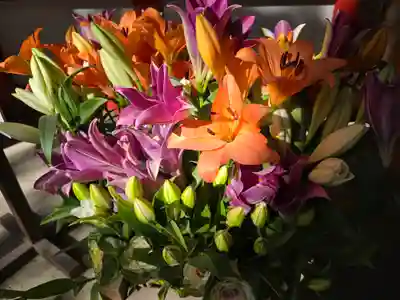 石上神宮(奈良県)