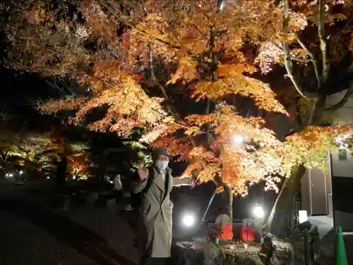 禅林寺（永観堂）(京都府)