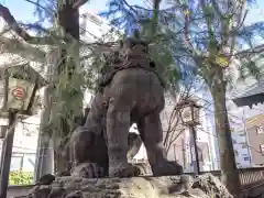 三島神社の狛犬