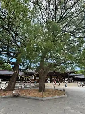 明治神宮(東京都)