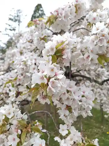 大原野神社(京都府)