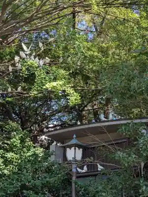 靖國神社(東京都)