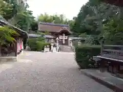 老杉神社(滋賀県)