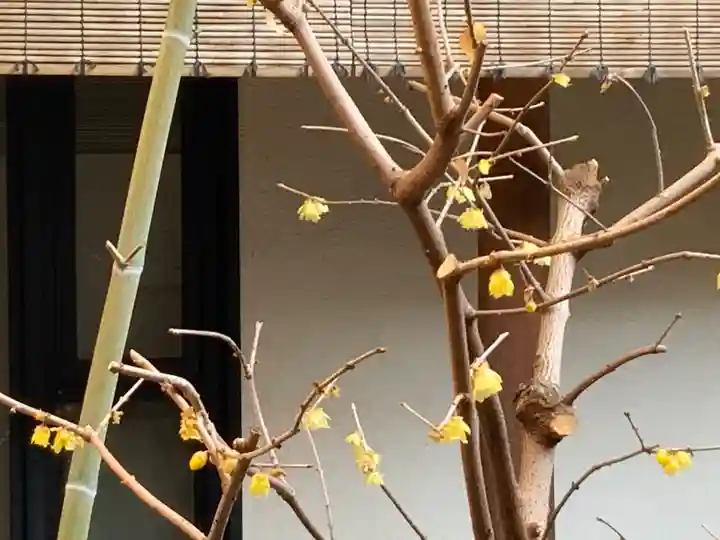 遠照山 光明寺(尼崎大仏)(兵庫県)