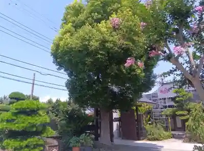 圓隆寺(神奈川県)