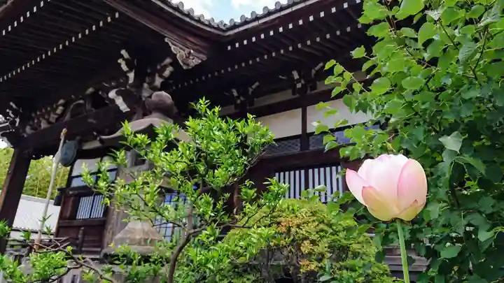 妙蓮寺のその他建物