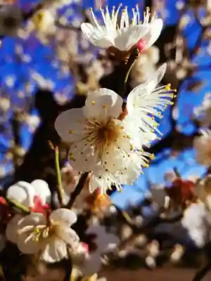 瑞円寺(東京都)