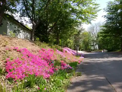 鷹栖神社の自然