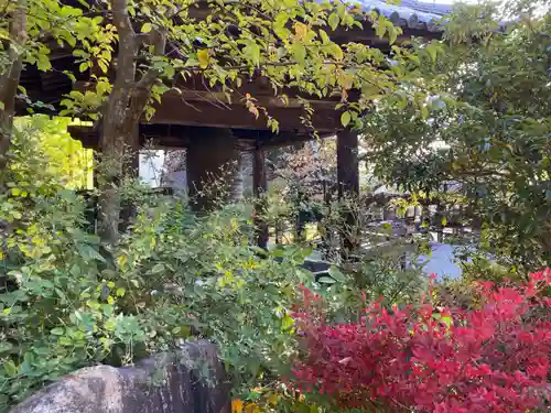 大善寺のその他建物