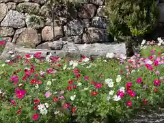 大宮神社の自然