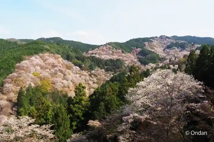 𠮷水神社(吉水神社)の景色