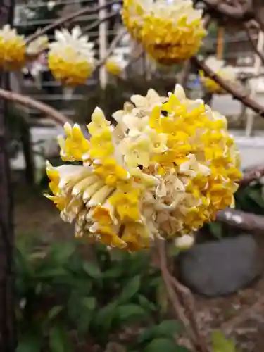鳩森八幡神社(東京都)