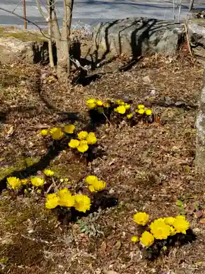 石都々古和気神社(福島県)