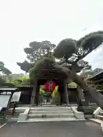 長谷寺の山門・神門