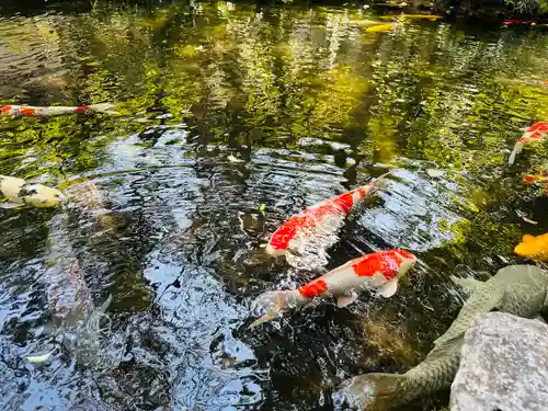 伊勢神宮内宮（皇大神宮）(三重県)