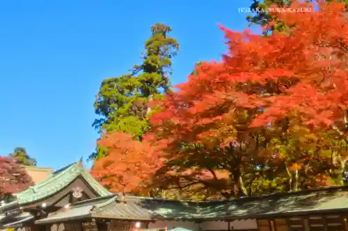 最乗寺（道了尊）(神奈川県)