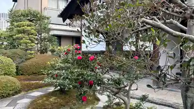 新德禅寺 (新徳寺)(京都府)