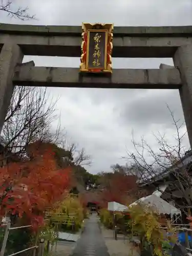 梨木神社の鳥居