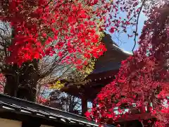 長圓寺の建物その他