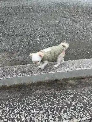 木山神社(岡山県)