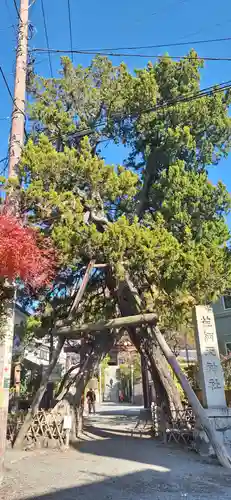 荏柄天神社(神奈川県)