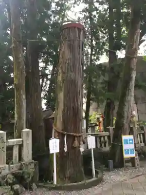 椙本神社(高知県)