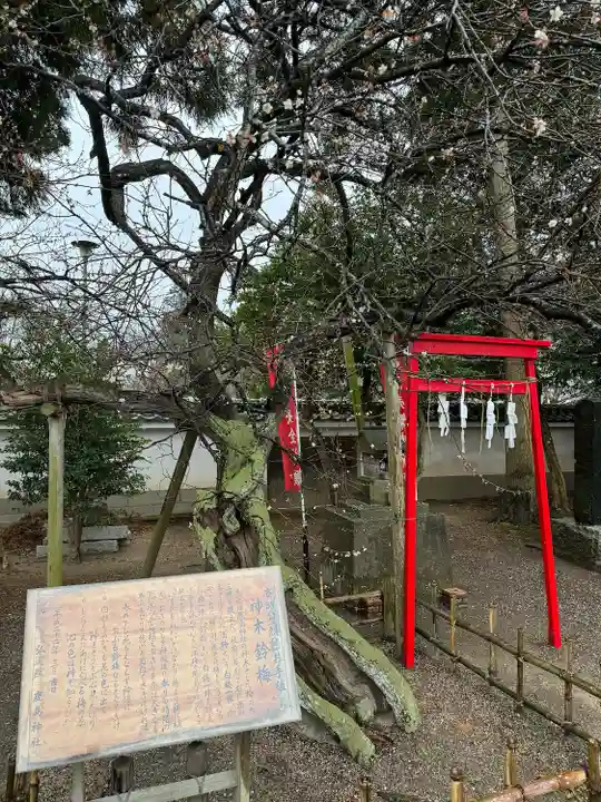 弘道館鹿島神社(茨城県)